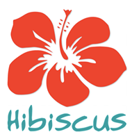 Hibiscus Surf School